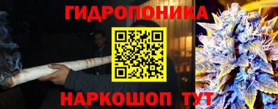 спайс Камышлов