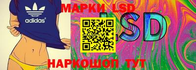 спайс Камышлов