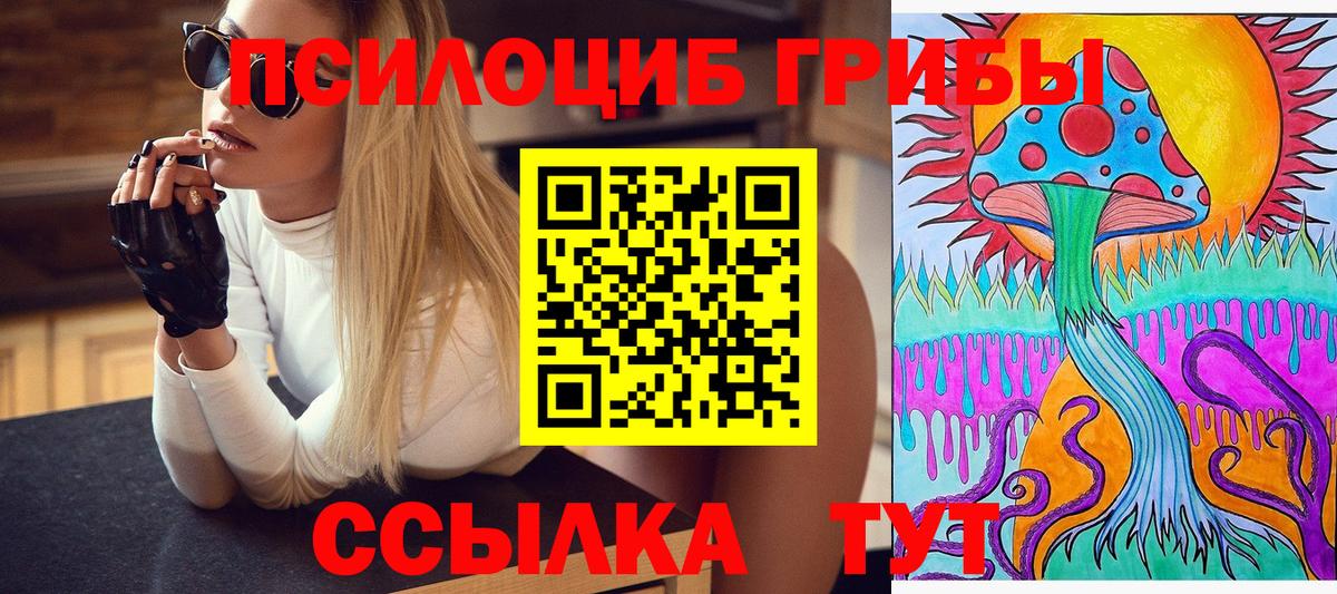 Псилоцибиновые грибы прущие грибы Конаково
